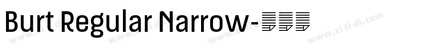 Burt Regular Narrow字体转换